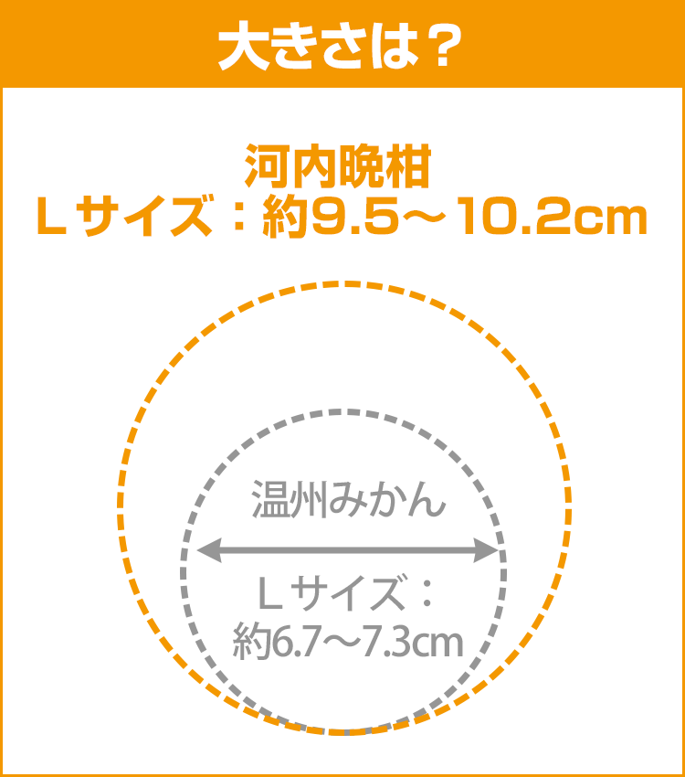 柑橘データ
