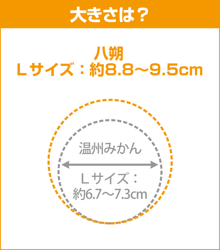 柑橘データ