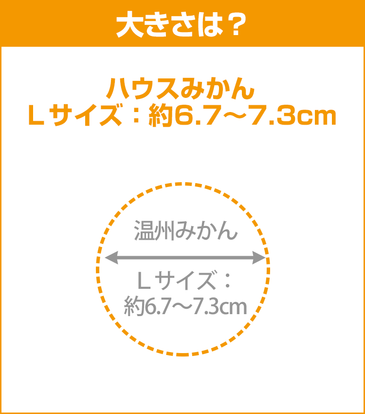 柑橘データ