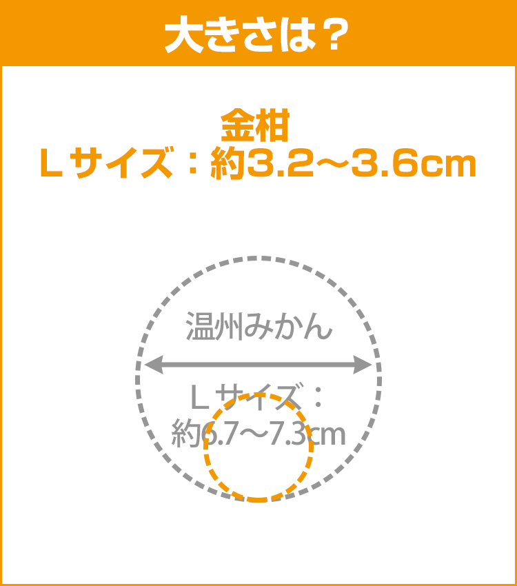 柑橘データ