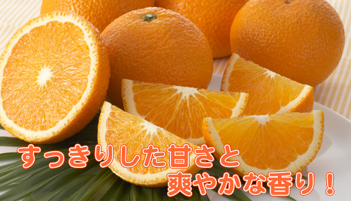 スイートスプリング