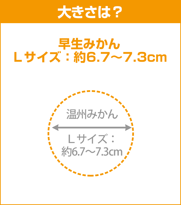 柑橘データ